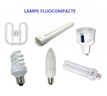 Ampoule et lampe fluo-compacte